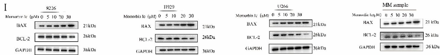 Wu Sizhi,et al-1.png