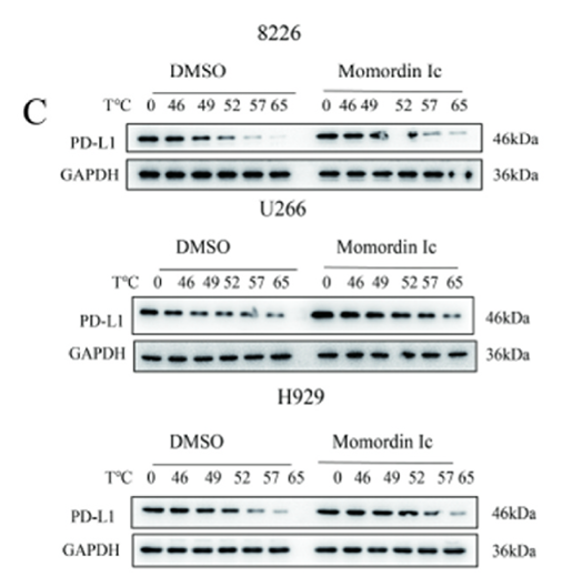 Wu Sizhi,et al-3.png