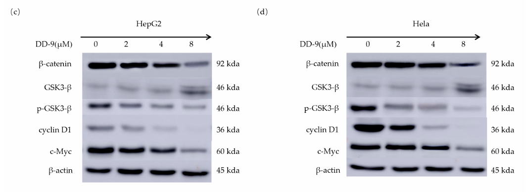 Zhou Dongdong,et al-1.png