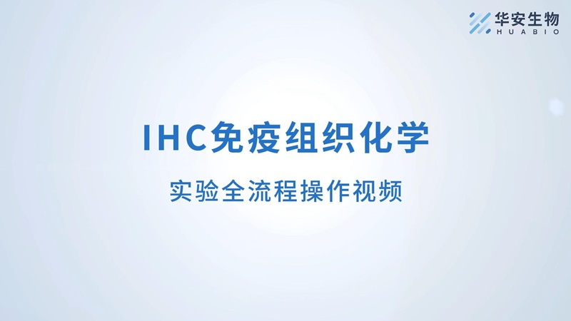 IHC定稿-封面.jpg