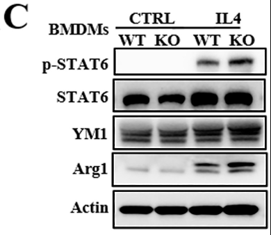 Yu Tianming,et al-1.png