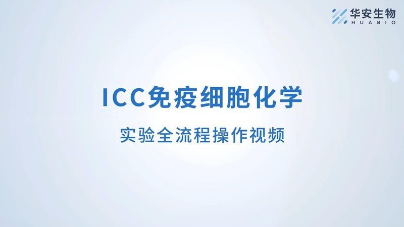 ICC定稿版-封面.jpg