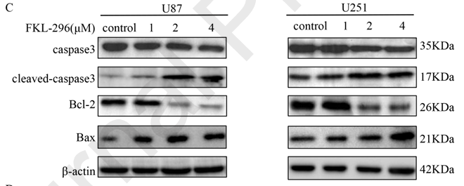 Xiong Yufeng,et al-1.png