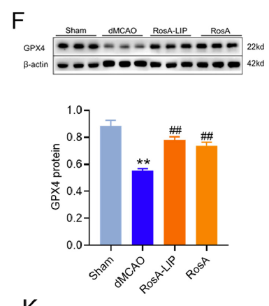 Jia Cuiling,et al-1.png