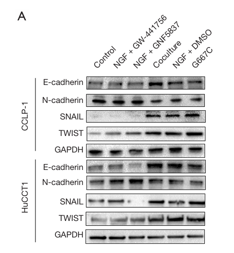 Qian Xingwang,et al-2.png