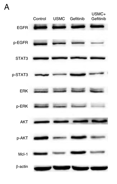 Chen Jianghong,et al-1.png