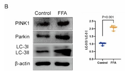 Liu Shuai,et al-1.png