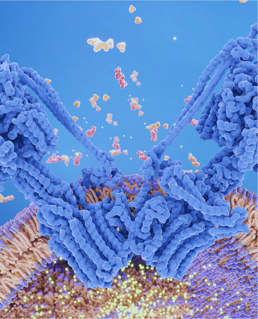 蛋白表达服务，展示蛋白质纯化实验