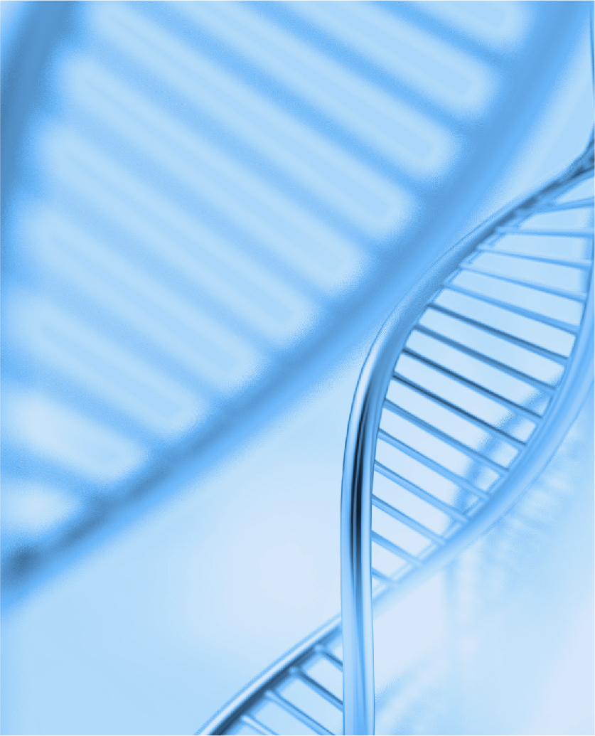 定制服务案例，展示实验数据和结果