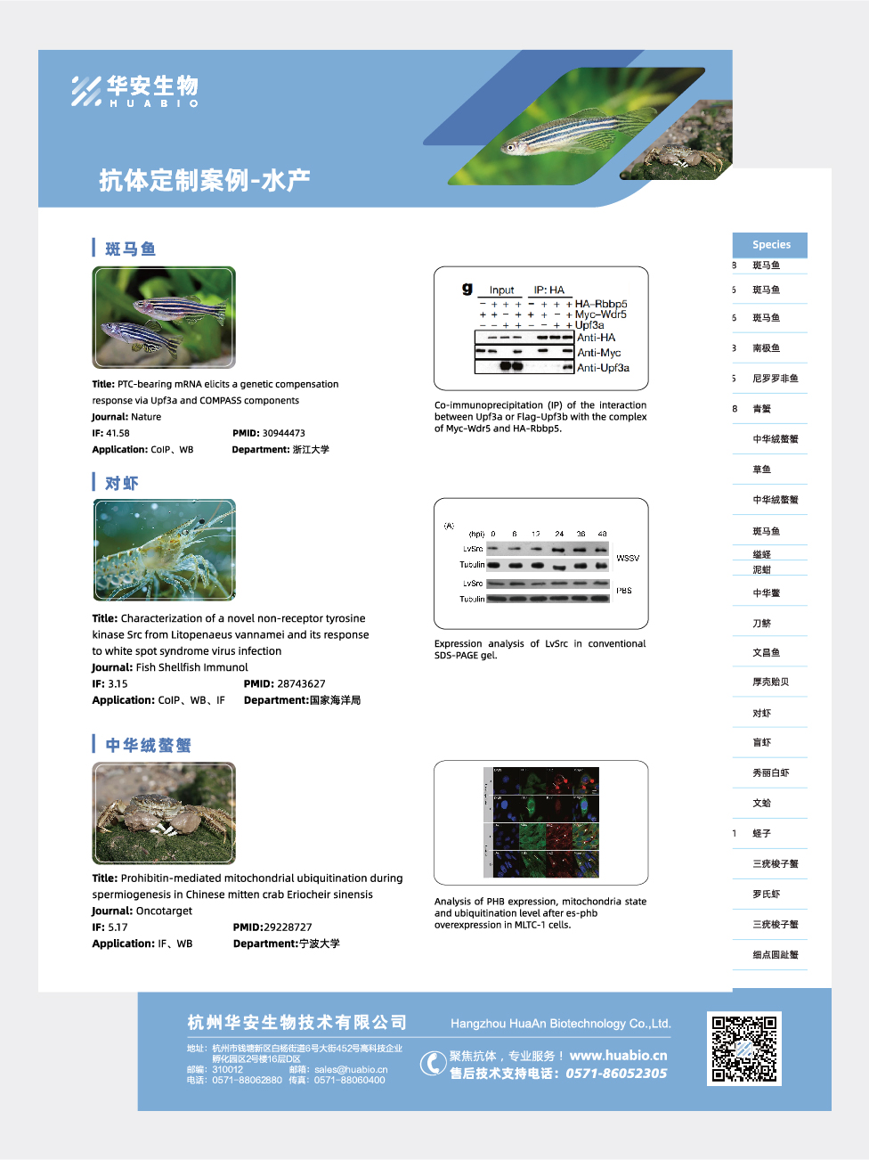 抗体定制案例水产