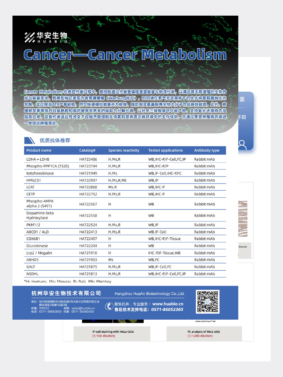 Cancer—Cancer Metabolism相关抗体