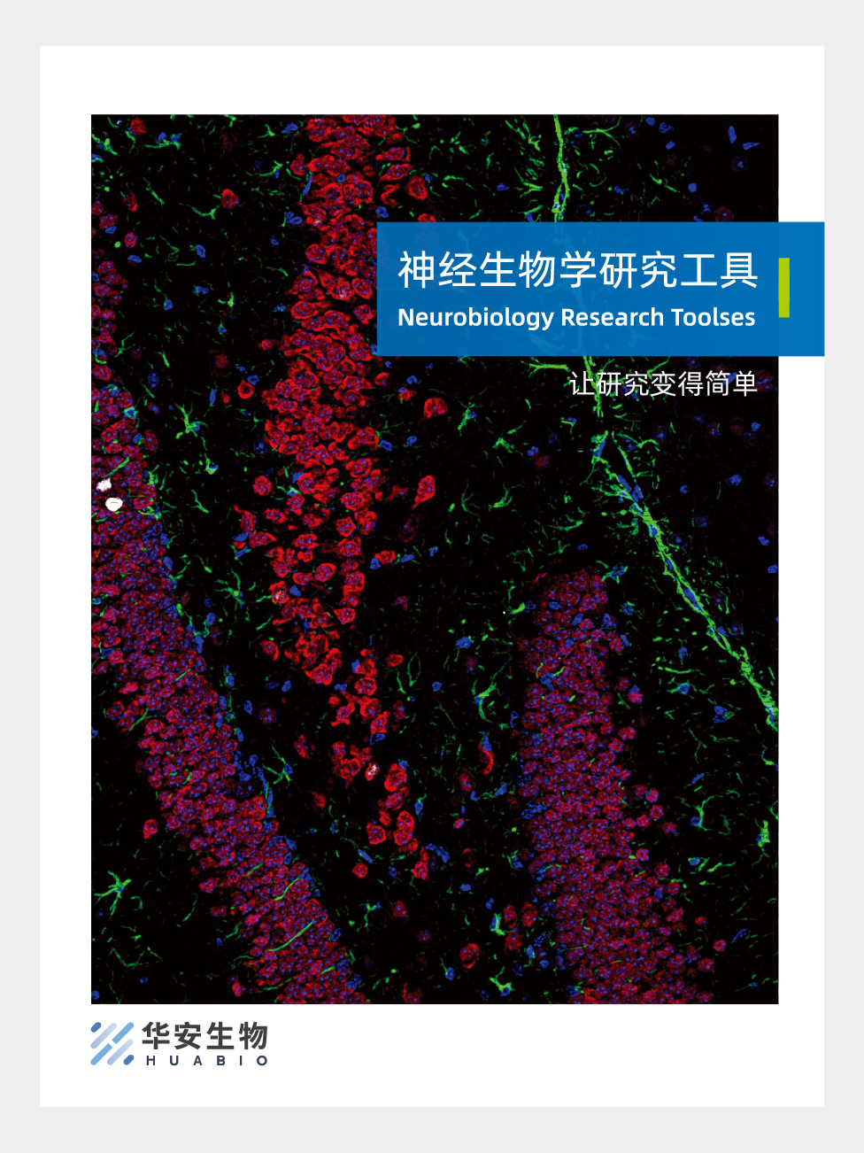 神经生物学研究工具