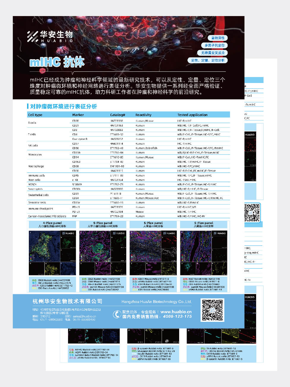 mIHC抗体