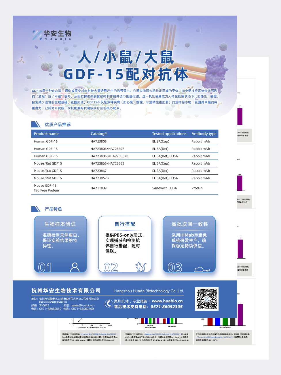 人/小鼠/大鼠GDF-15配对抗体