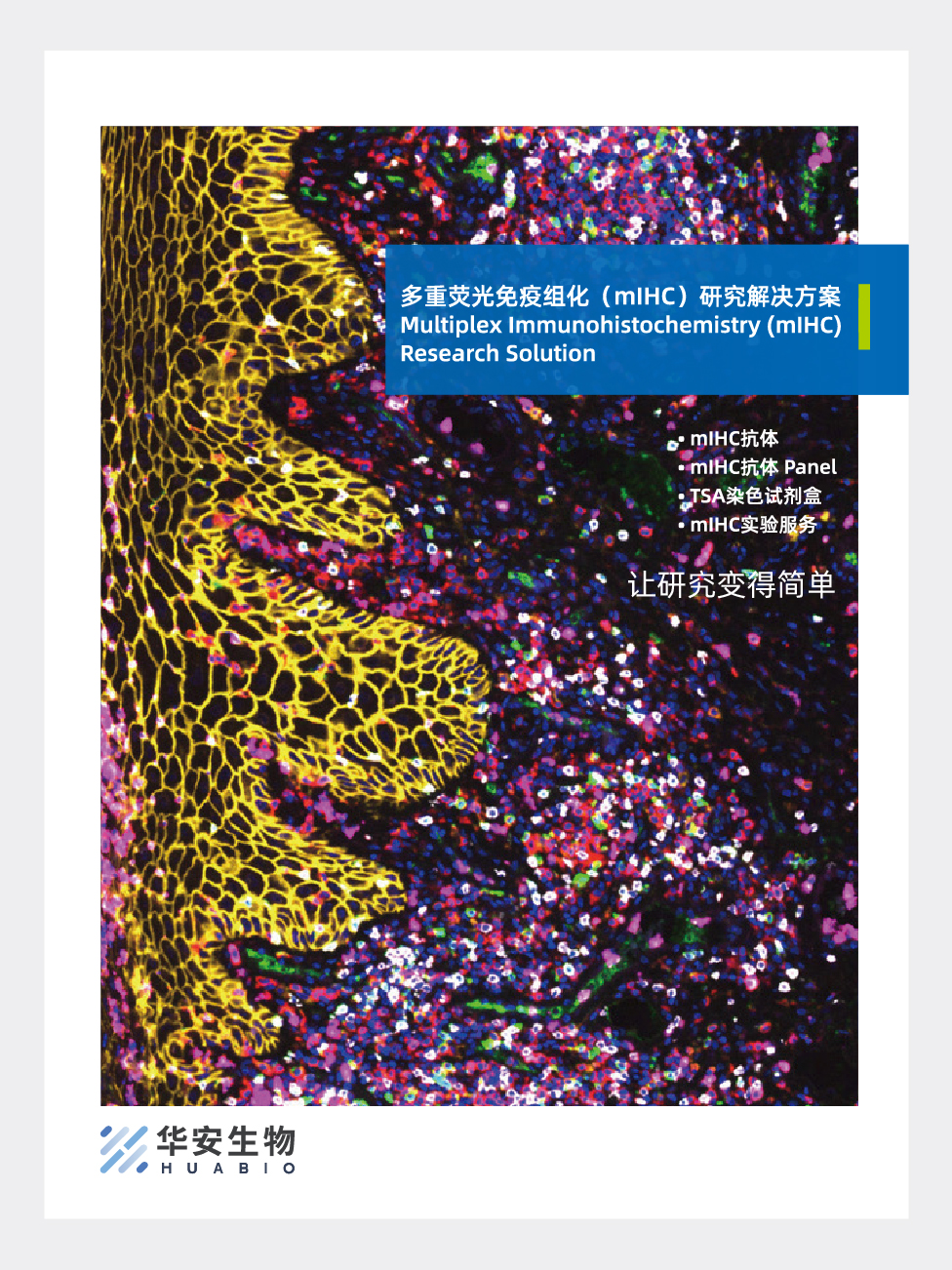 多重荧光免疫组化(mIHC)研究解决方案 