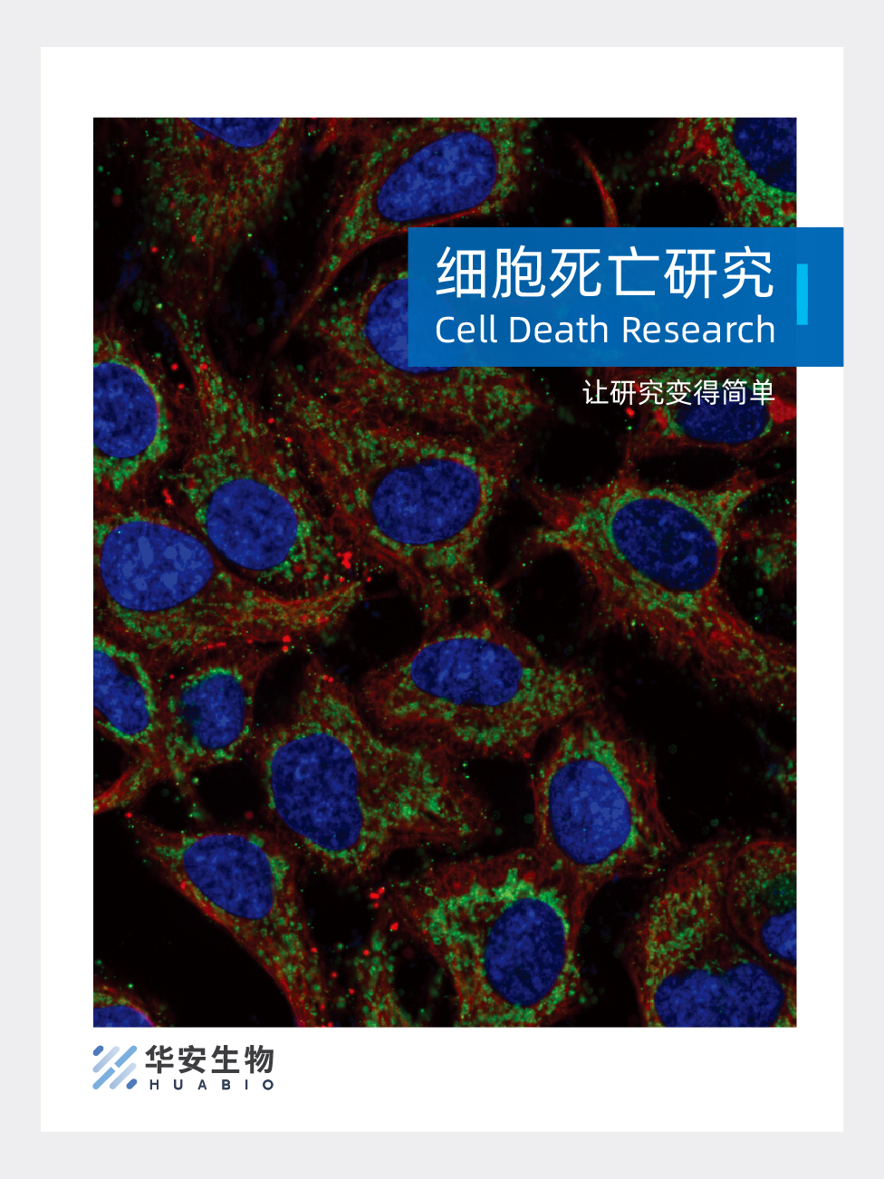 细胞死亡研究