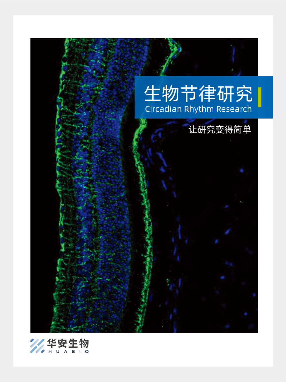 生物节律研究