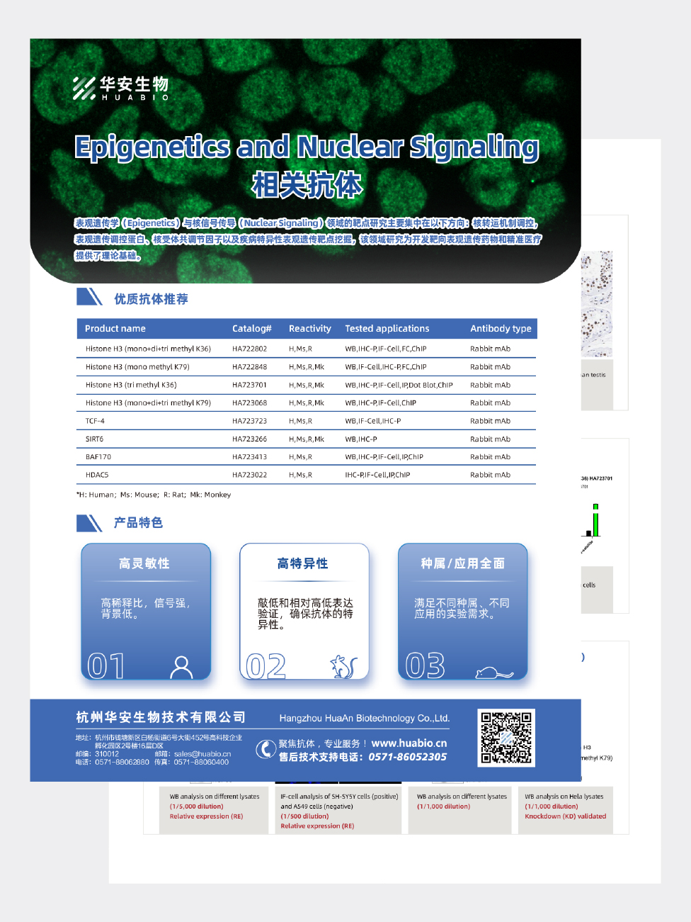 Epigenetics and Nuclear Signaling相关抗体