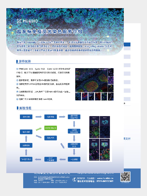 超多标免疫荧光染色服务介绍