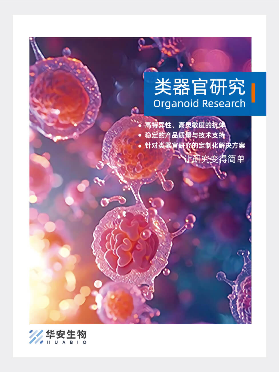 类器官研究