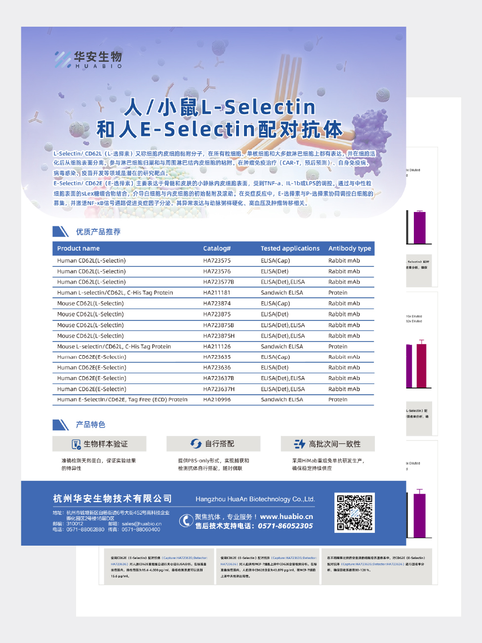 人/小鼠L-Selectin和人E-Selectin配对抗体