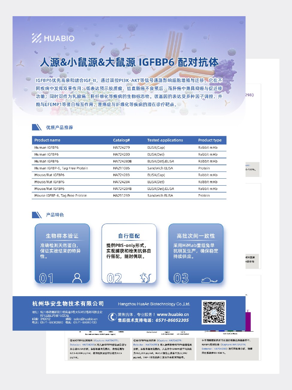 人源&小鼠源&大鼠源 IGFBP6 配对抗体