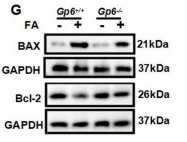 2025年3月-40119472-1.jpg 2025年3月-40119472-1.jpg