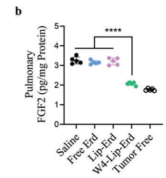 2025年1月-7NOPMID25030501-4-EH0024.png 2025年1月-7NOPMID25030501-4-EH0024.png