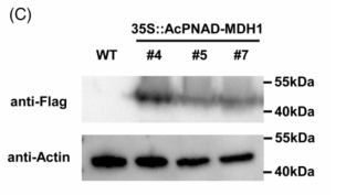 2025年3月-40052512-1.png 2025年3月-40052512-1.png