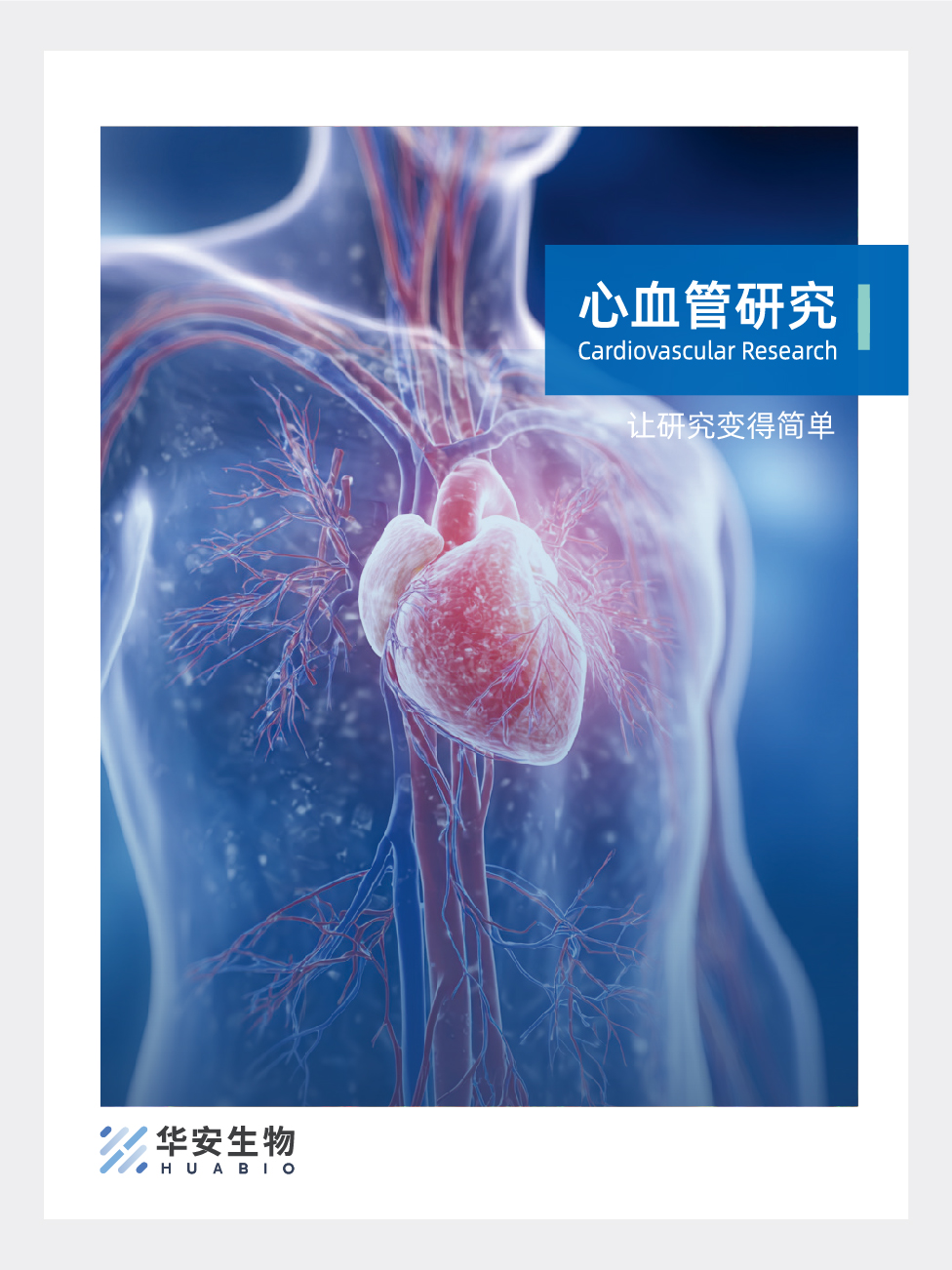 心血管研究