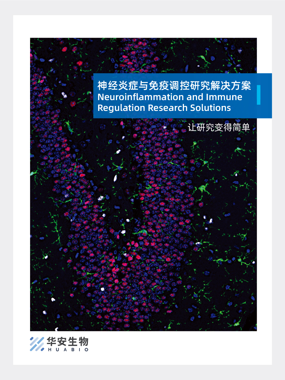 神经炎症与免疫调控研究解决方案