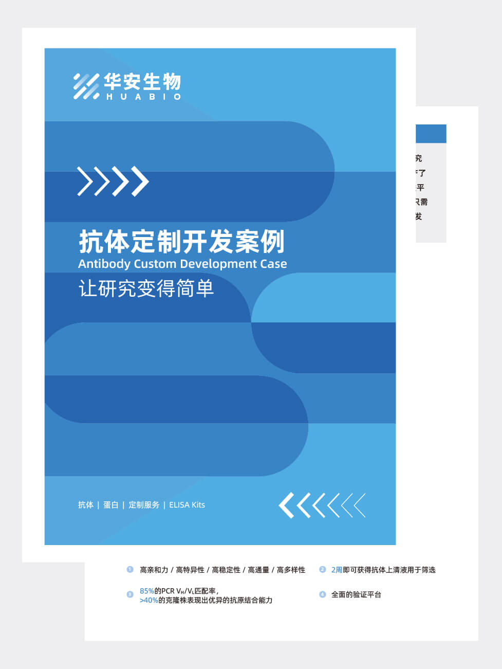 抗体定制开发案例