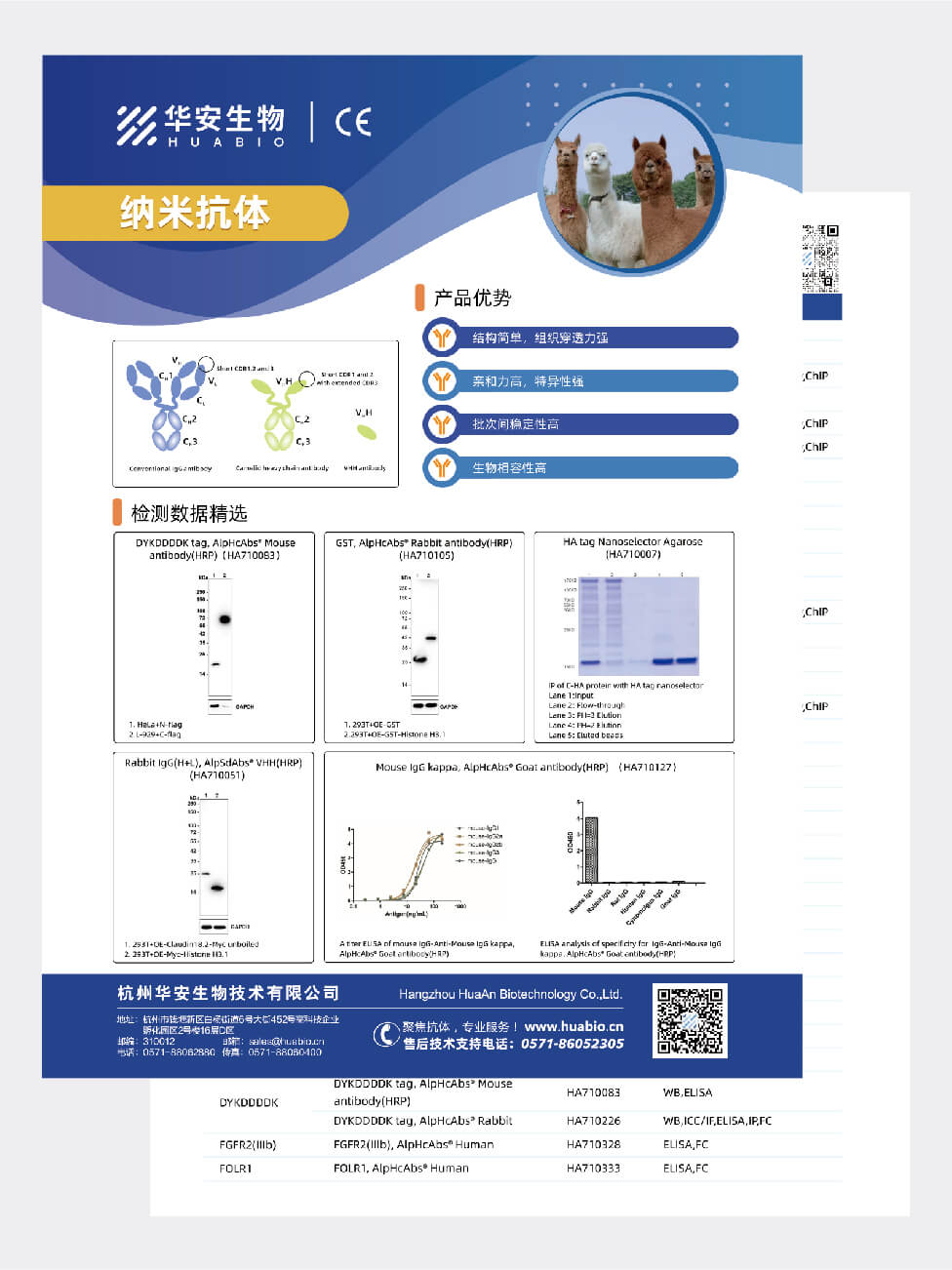 纳米抗体
