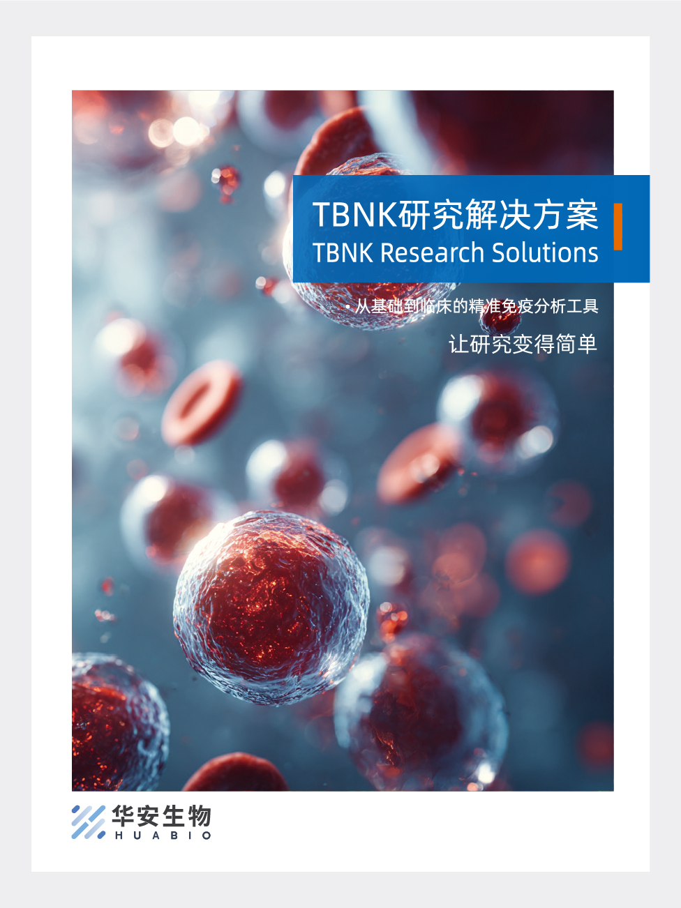 TBNK研究解决方案