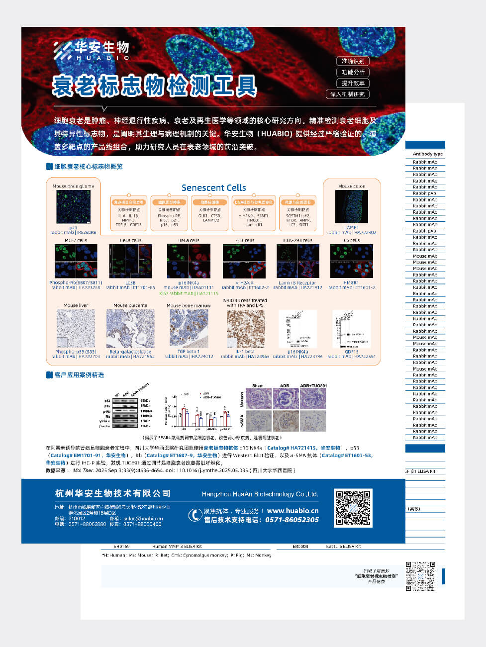 细胞衰老标志物检查工具