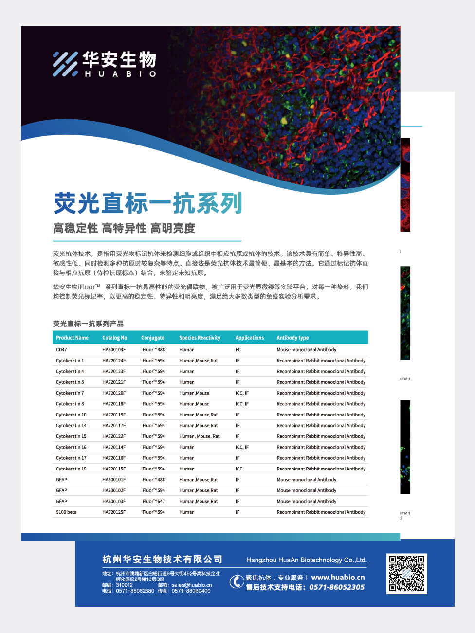 荧光直标一抗