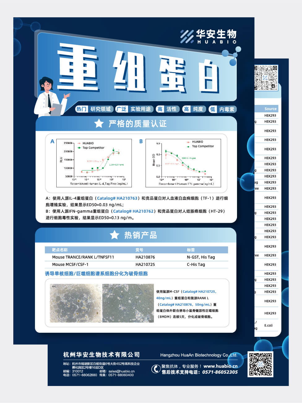 重组蛋白