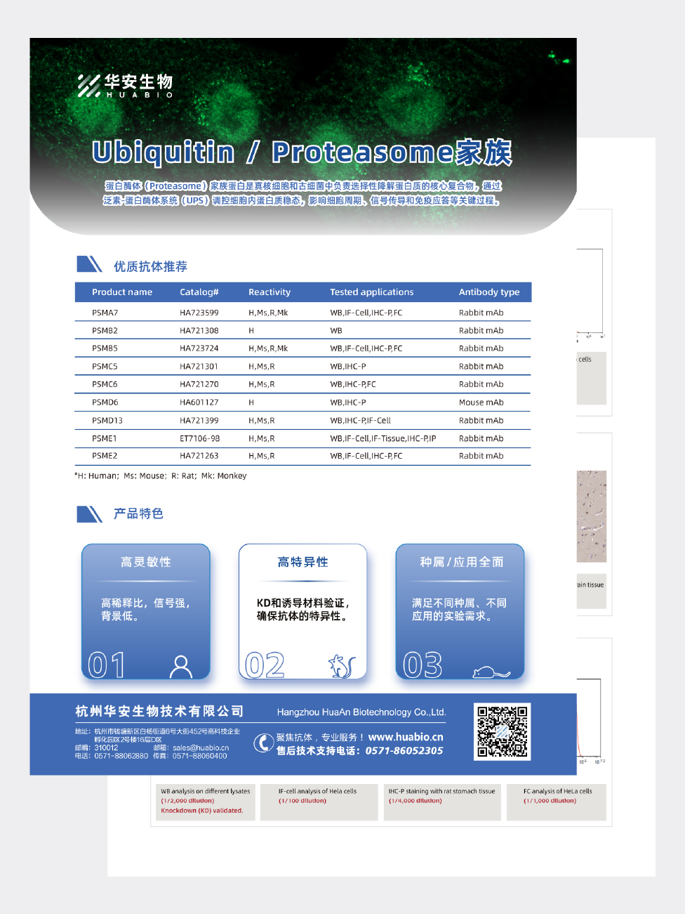 Ubiquitin&Proteasome家族抗体