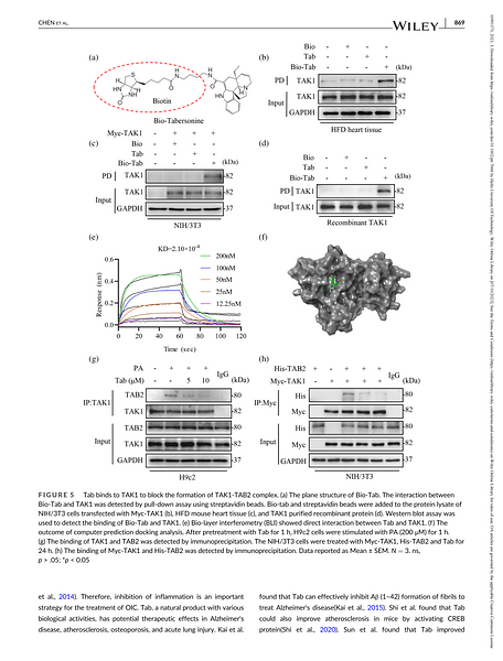 36420902 ET1705-14.png
