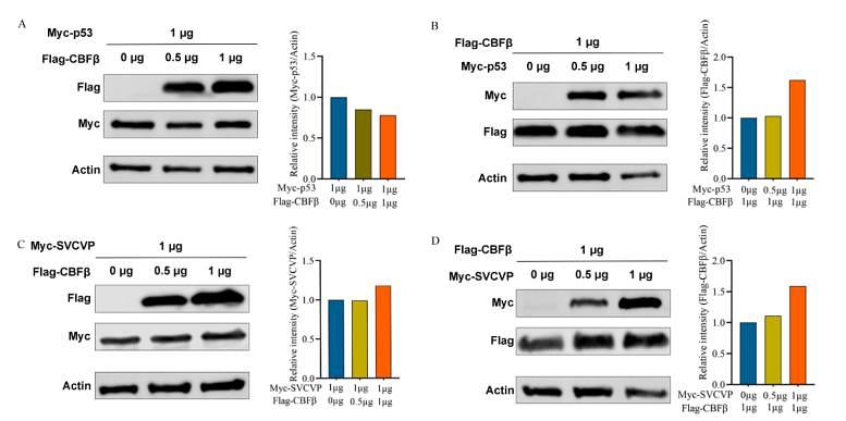 37268261 ET1701-80.jpg