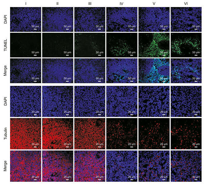 36816538 ET1602-4.png