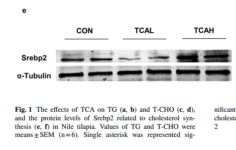 36044098 ER130905.png