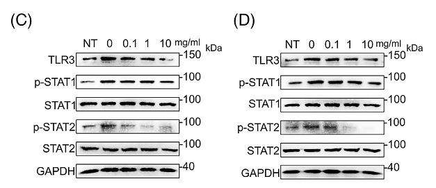 36210640 ET1612-22.png