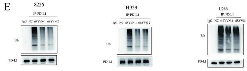 Wu Sizhi,et al-5.png