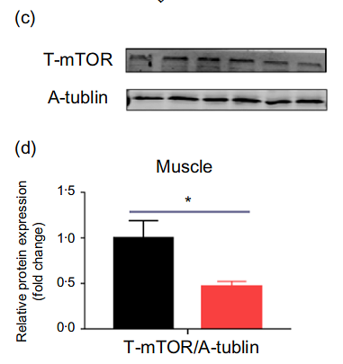 36408747 M1501-1.jpg