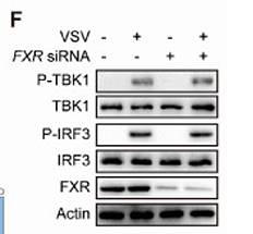 Liang Xue,et al-1.png