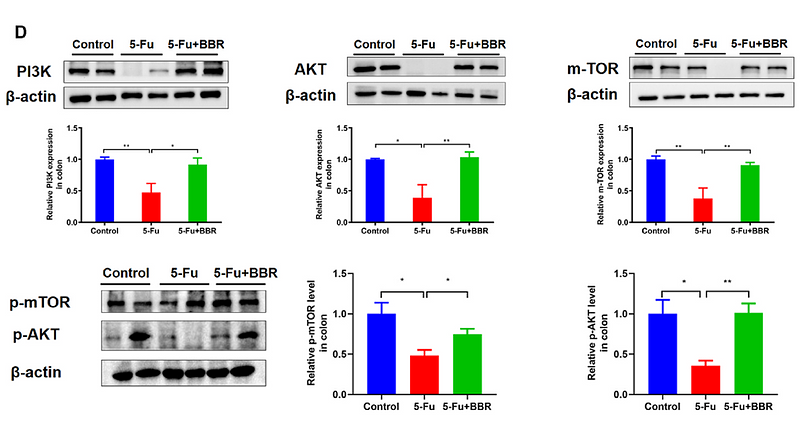 Wu Changhong,et al-2.png