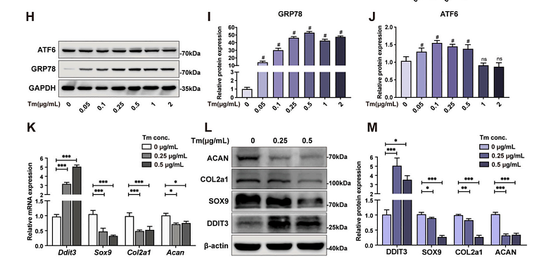 35381294 M1701-1-1.png