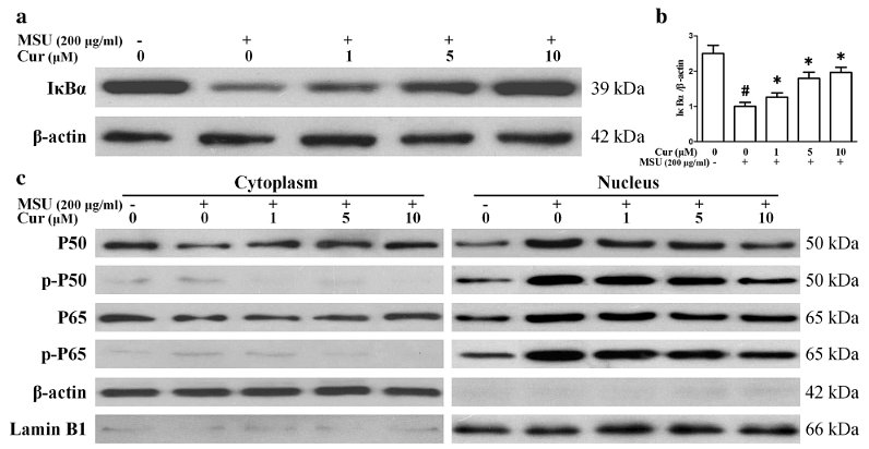 31455356 ET1603-18.png