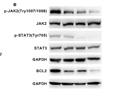 30099568 ET1603-40.png